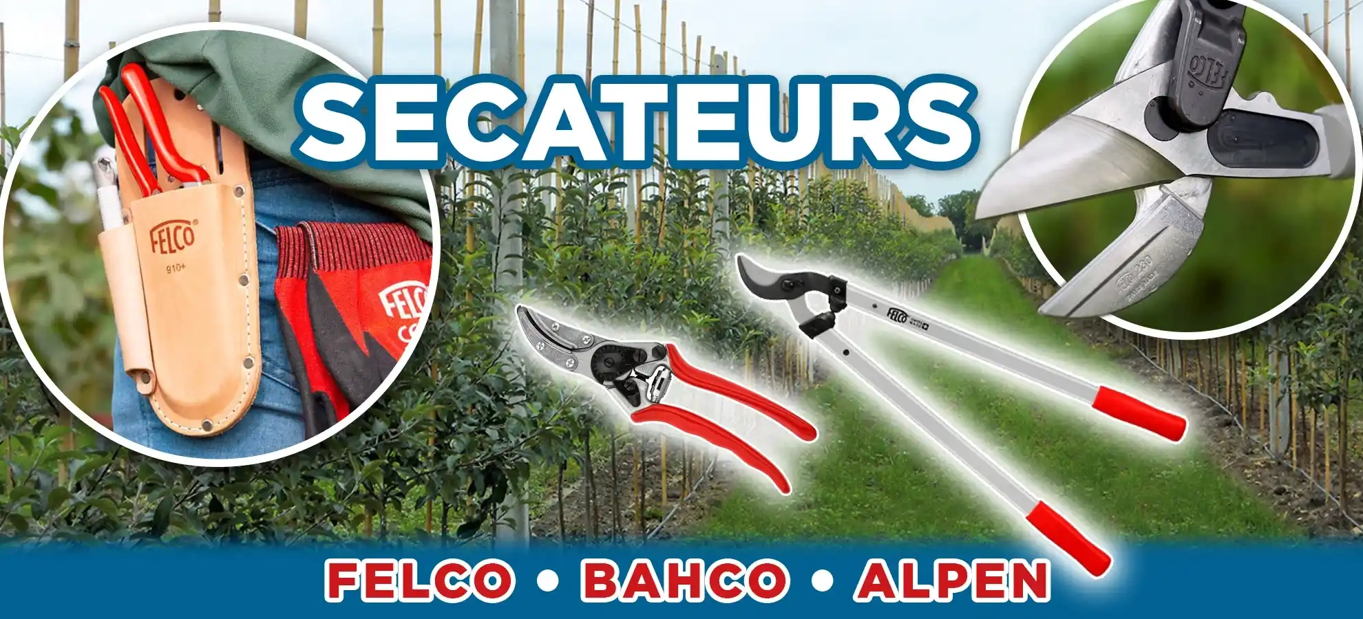 secateurs