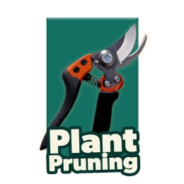 Plant pruning