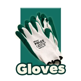 Gloves