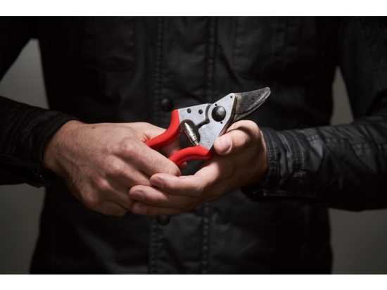 FELCO 6 PRUNING SHEAR + FELCO 601 SAW - SPECIAL KIT