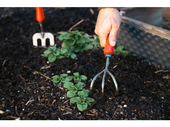 Felco 411 steel cultivator, forged, warranty