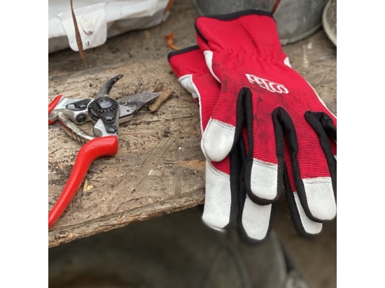 SET: FELCO 11 PRUNING SHEAR + 702L GLOVES