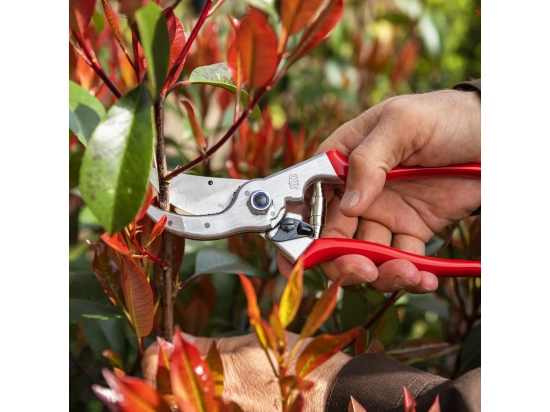 Felco Model 4 Standard Secateurs