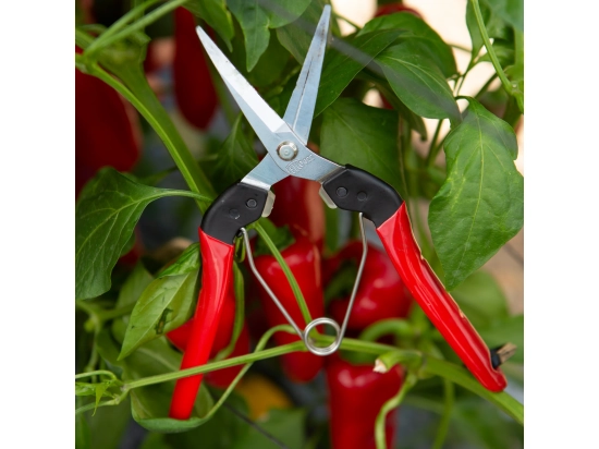 Felco 322 - Lightweight Pruning Snips
