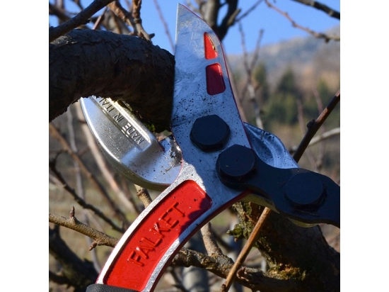 Wedge Lopping Shears Straight Blade FALKET 8011/A