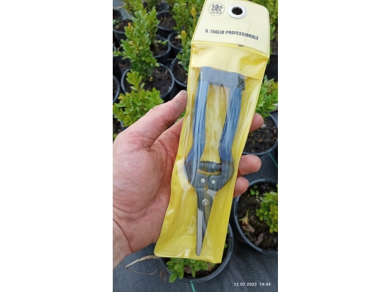 Pruning shears for grapes, herbs and flowers Due Buoi 1145/17.5