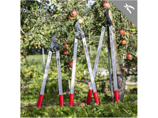 Felco 221-90 Two-Handed Pruning Sheers