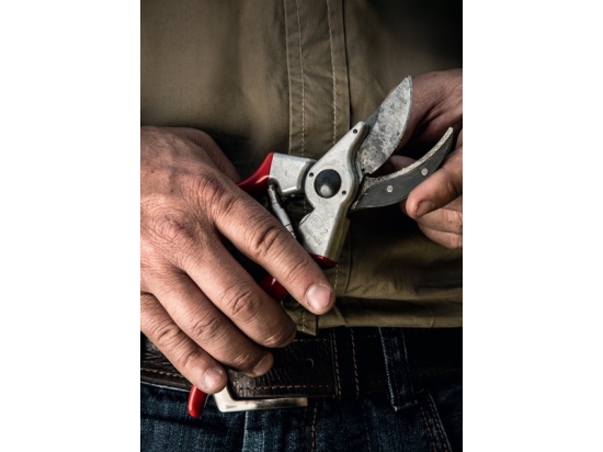 Felco 2 Pruner, a classic model since 1948