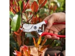 Felco Model 4 Standard Secateurs